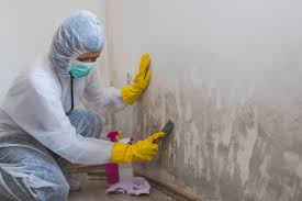 Best Emergency Mold Remediation  in Gretna, LA